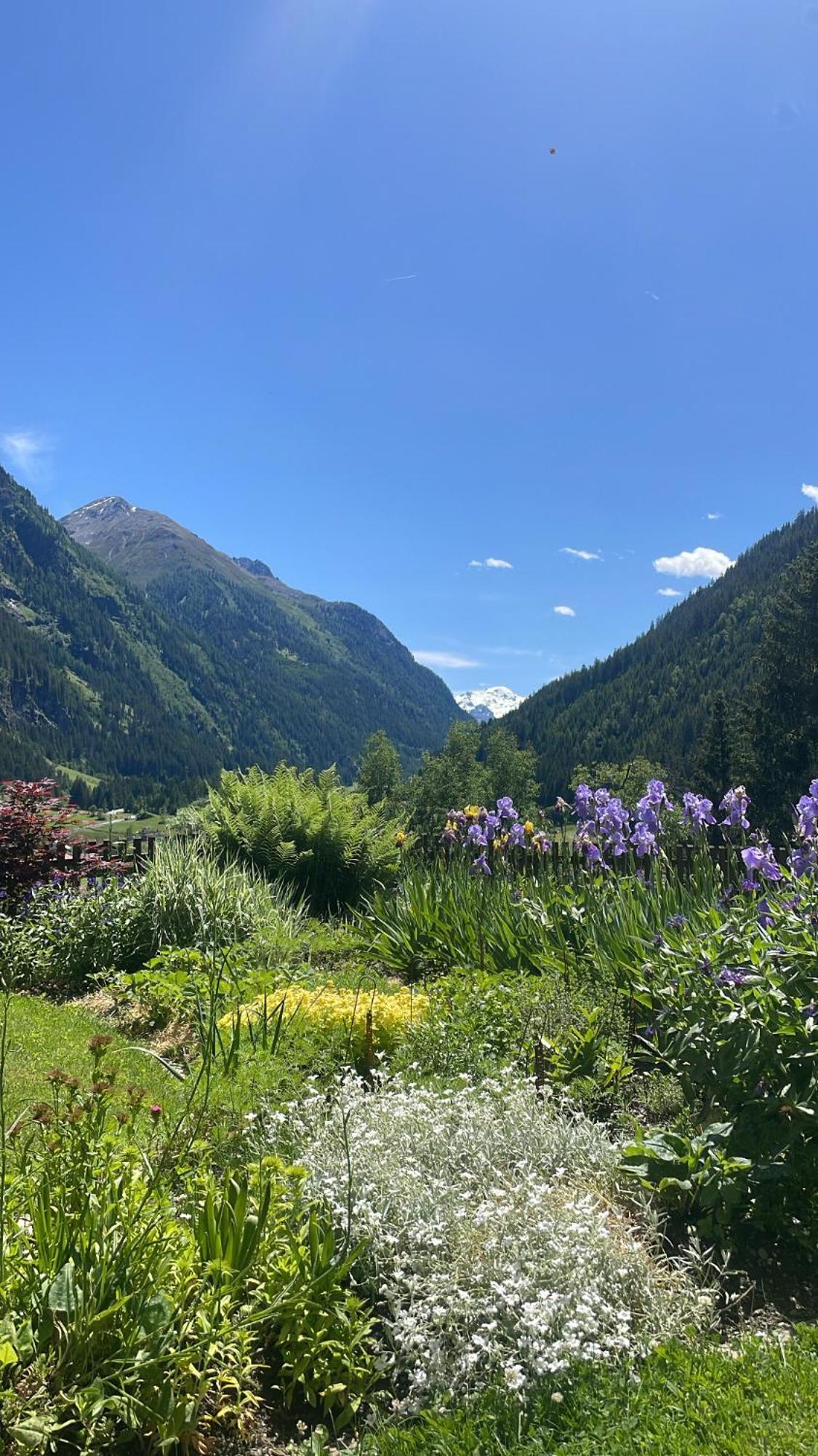 Apart Sonnenheim Kaunertal Kültér fotó